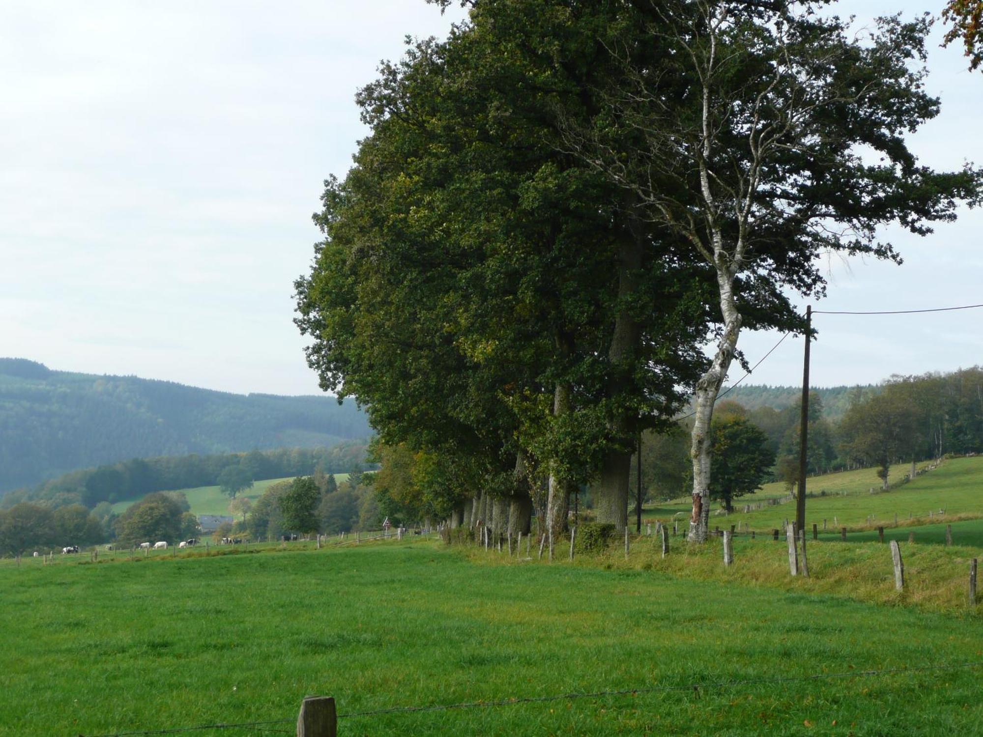Le Fournil Gite Rural Trois-Ponts Exteriér fotografie