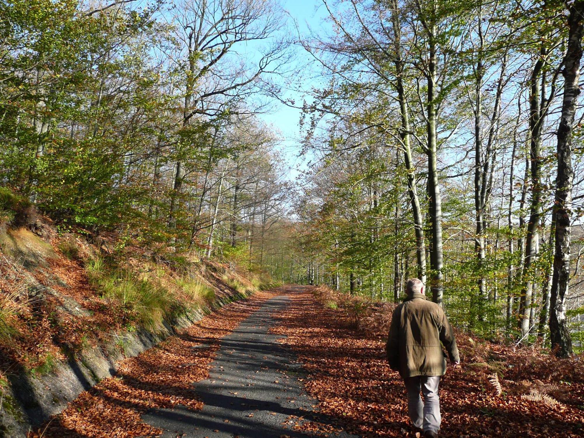 Le Fournil Gite Rural Trois-Ponts Exteriér fotografie